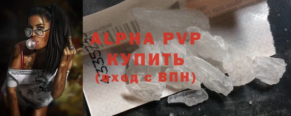 гашик Горняк