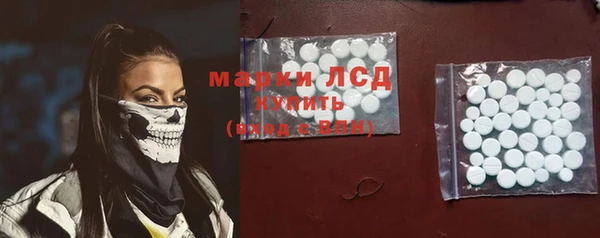 гашик Горняк