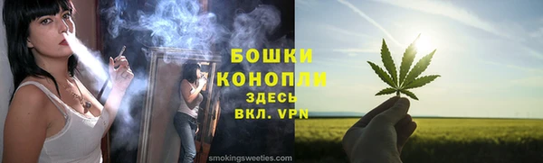 гашик Горняк