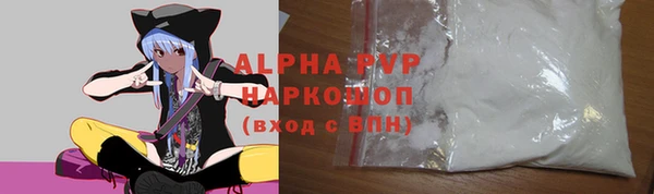 гашик Горняк