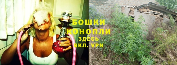 гашик Горняк