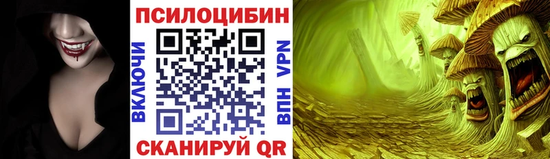 Галлюциногенные грибы Cubensis  как найти наркотики  Гусь-Хрустальный 