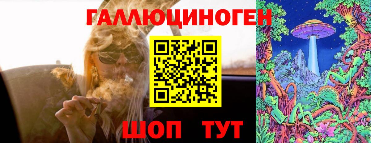 Галлюциногенные грибы мухоморы Гусь-Хрустальный