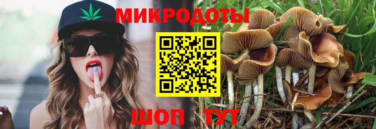 где можно купить   Вход с VPN  Гусь-Хрустальный  Псилоцибиновые грибы мицелий  Галлюциногенные грибы Magic Shrooms 